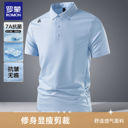 罗蒙 休闲polo衫短袖t恤男士翻领夏季男款商务男装