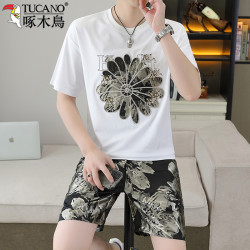 啄木鸟 啄木鳥男士休闲套装夏季爆款圆领短袖短裤韩版薄款两件套