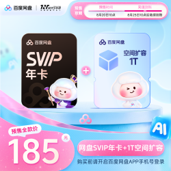 百度 网盘SVIP超级会员年卡+1T空间