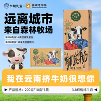 乍甸 云南乍甸常温有机纯牛奶200g*10盒高原3.8g乳蛋白晚安奶1箱/2箱