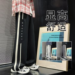 休闲裤男秋冬季新款大码宽松直筒加厚长裤港风阔腿百搭显高卫裤子