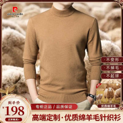 皮尔·卡丹 皮尔卡丹优质羊毛衫秋冬款男士套头半高领休闲百搭纯色织打底衫