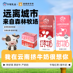 乍甸 云南乍甸甜牛奶/红枣牛奶200g*12盒风味乳饮料