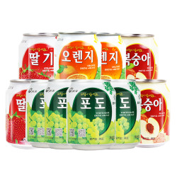 九日 韩国进口批发果汁葡萄果粒橙饮料蜜桃果肉238ml*10罐装饮品