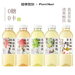 植物驾到 0糖0卡500ml*9精选果味风味放心清爽果味茶饮料
