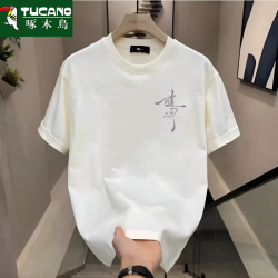 啄木鸟 男士夏季半袖t恤个性潮流时尚百搭运动休闲青少年圆领宽松T