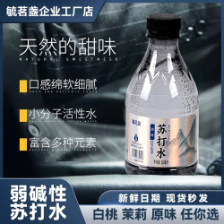高端无汽零糖零卡零脂天然苏打水弱碱饮料网红饮料
