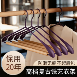 黛紫色高档复古铁艺轻奢衣架金属无痕防滑衣架子服装店防锈酒店