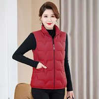 时尚优雅修身立领女士新款棉马甲9801