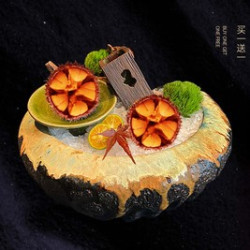 大马粪海胆