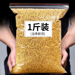 黄苦荞正宗泡茶新货苦荞茶500g浓郁干吃泡水干净颗粒饱满黑苦荞