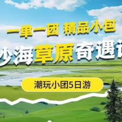 沙海草原奇遇记商务5天4晚跟团游