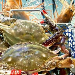 活海鲜自助