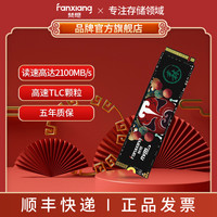 梵想 S500 SSD内置高速固态硬盘M.2接口NVMe协议TLC颗粒