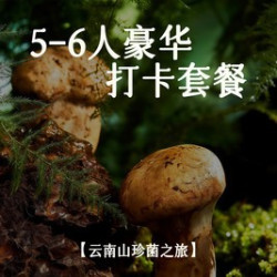 番石榴 5-6人豪华打卡套餐