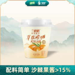野生沙棘草原酸奶300g