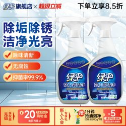 绿伞 瓷洁净瓷砖清洁剂卫生间地板砖清洁2瓶家用厕所玻璃去污除垢
