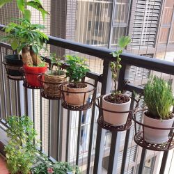 阳台悬挂式花架加粗铁艺栏杆护栏窗台绿萝吊兰简约花盆挂架置物架
