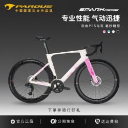 瑞豹 星火25款SPARK SPORT PES迈金电变全碳轮碳纤维公路车
