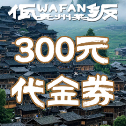 300元代金券|限2张