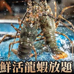 鲜活龙虾·鹅肝｜单人畅吃（双人及以上用餐）