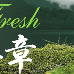 全天通用畅享单人自助｜杭州维景店