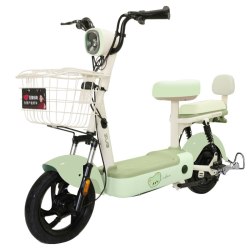 五星钻豹 新国标 电动自行车 铅酸电池
