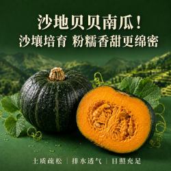 贝贝南瓜 板栗味 4.5斤（8‑15个）