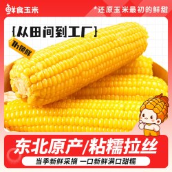 农垦雁窝岛 农垦东北黄糯甜玉米新鲜玉米真空装粘玉米玉米棒粗粮代餐低脂10根