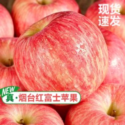 一棵果树 云南昭通红富士苹果