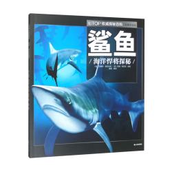 鲨鱼