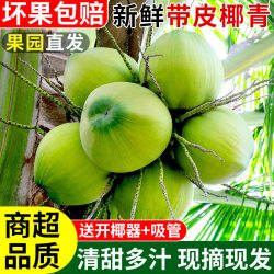 探味君 正宗海南带皮椰青新鲜奶香椰子当季大青椰嫩椰纯天然热带水果特产