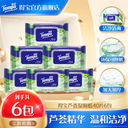 得宝 湿厕纸私处清洁芦荟湿纸巾便携小包40片6包家庭装 芦荟湿厕纸 40片