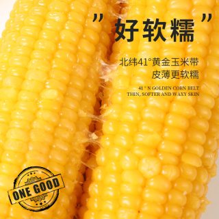 88VIP：轻语拾光 新鲜有机黄糯玉米220g*8支