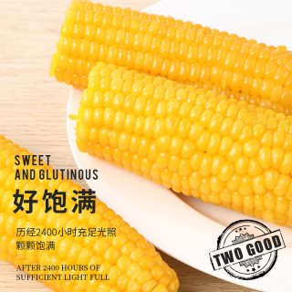 88VIP：轻语拾光 黄糯玉米非东北粘苞米低脂主食早餐代餐真空装220g*8支