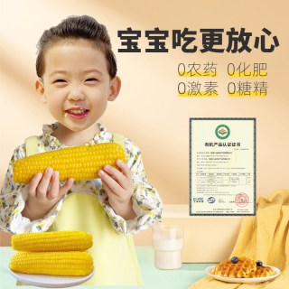 88VIP：轻语拾光 黄糯玉米非东北粘苞米低脂主食早餐代餐真空装220g*8支