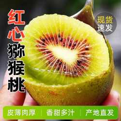 贡鲜果农 四川蒲江红心猕猴桃 20枚 单果50-70g