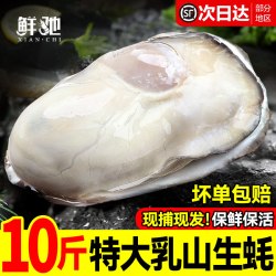 鲜驰 乳山生蚝鲜活10新鲜特大海蛎子5斤带箱海鲜牡蛎水产整箱商用