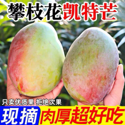 优品拉 四川攀枝花凯特芒果当季新鲜水果现摘超甜彩虹芒大青吉禄芒果整箱