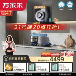 万家乐 顶配版 32m³变频超泡化油洗72%高热效率定时灶
