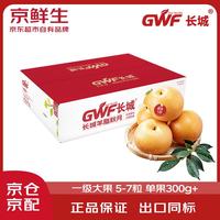 京鲜生 长城羊脂秋月梨 4.5斤装 大果5-7粒 单果300g+ 水果