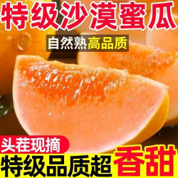 当季民勤蜜瓜黄金甜瓜新鲜水果孕妇水果金红宝整箱甜