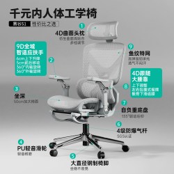 赛谷 S1 人体工学电脑椅