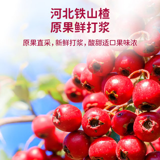 小鹿蓝蓝 0添加蔗糖山楂棒 桑葚蓝莓味 220g 婴幼儿零食