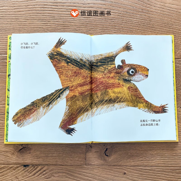 《牛来》画风：《熊宝宝、熊宝宝，你在看什么？》3-8岁绘本