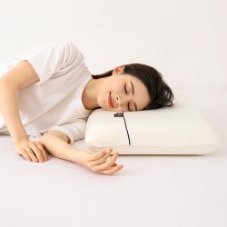 FUANINAIART 深睡眠慢回弹记忆枕朵酒店枕头护颈椎睡眠枕芯成人枕A
