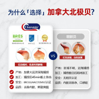 Clearwater北极清水 加拿大熟冻北极贝刺身 M码 200g
