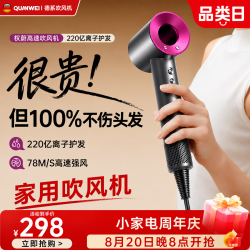 权蔚 高速护发吹风机家用吹风机吹头发家用静音负离子大功率不伤发电吹风机直发吹风筒