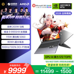机械革命 蛟龙16Pro R9-9955HX RTX5060 300Hz 16G+1T 笔记本电脑