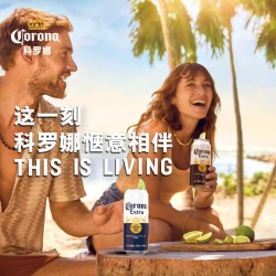 百威 CORONA/科罗娜全开盖啤酒500ml*12听整箱11.3°P大罐装经典拉格